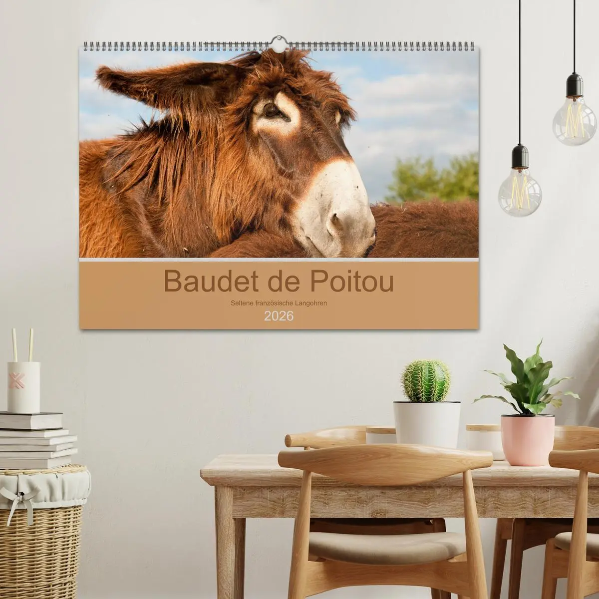 Bild: 9783457873540 | Baudet de Poitou - Seltene französische Langohren (Wandkalender...