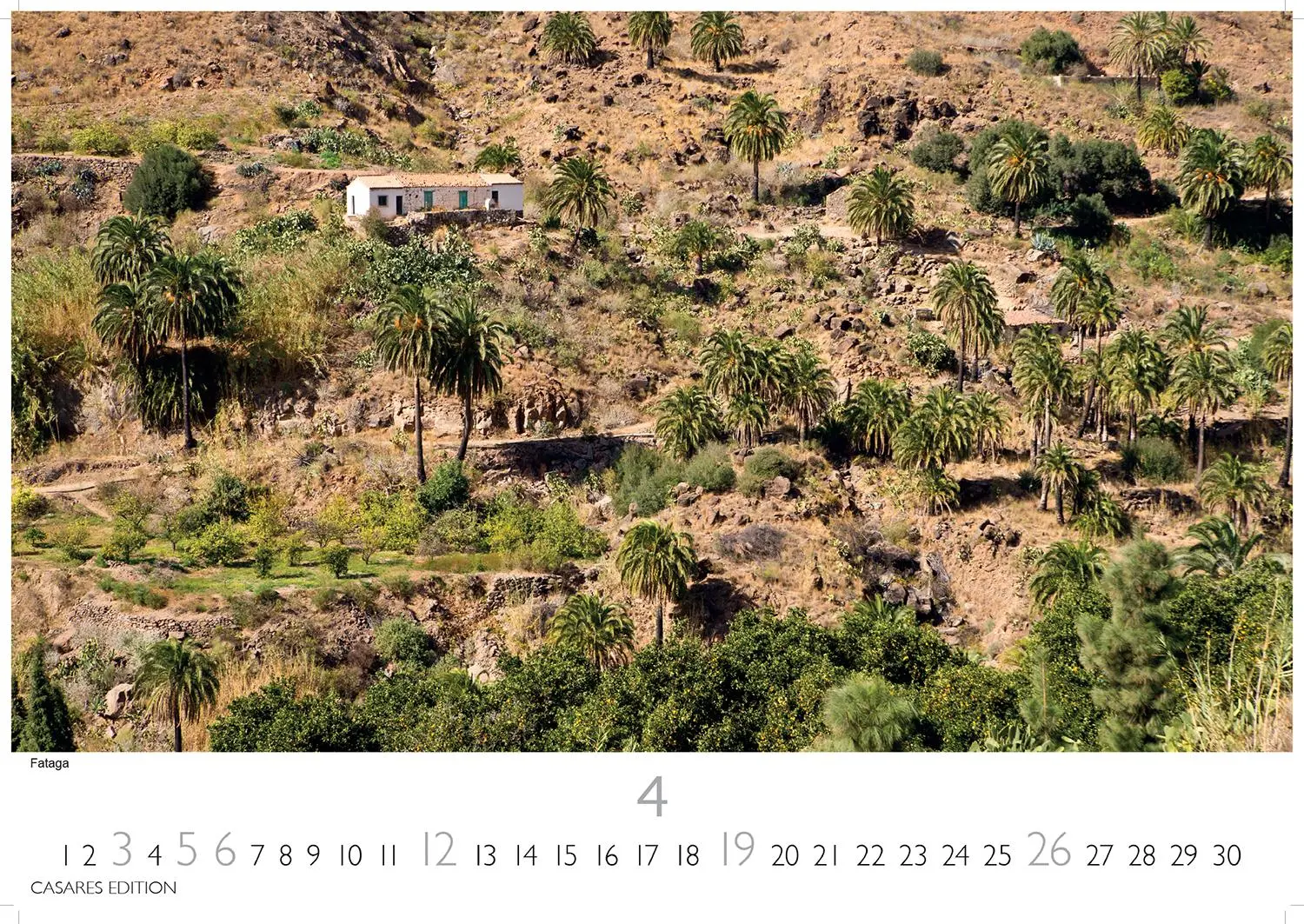 Bild: 9781835243640 | Gran Canaria 2026 L 35x50cm | Kalender | 14 S. | Deutsch | 2026