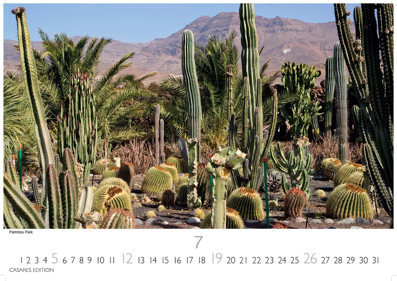 Bild: 9781835243640 | Gran Canaria 2026 L 35x50cm | Kalender | 14 S. | Deutsch | 2026