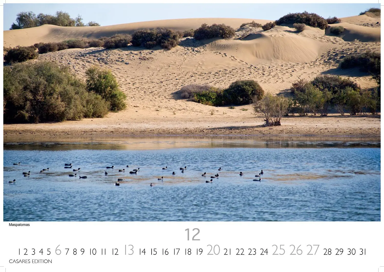 Bild: 9781835243640 | Gran Canaria 2026 L 35x50cm | Kalender | 14 S. | Deutsch | 2026