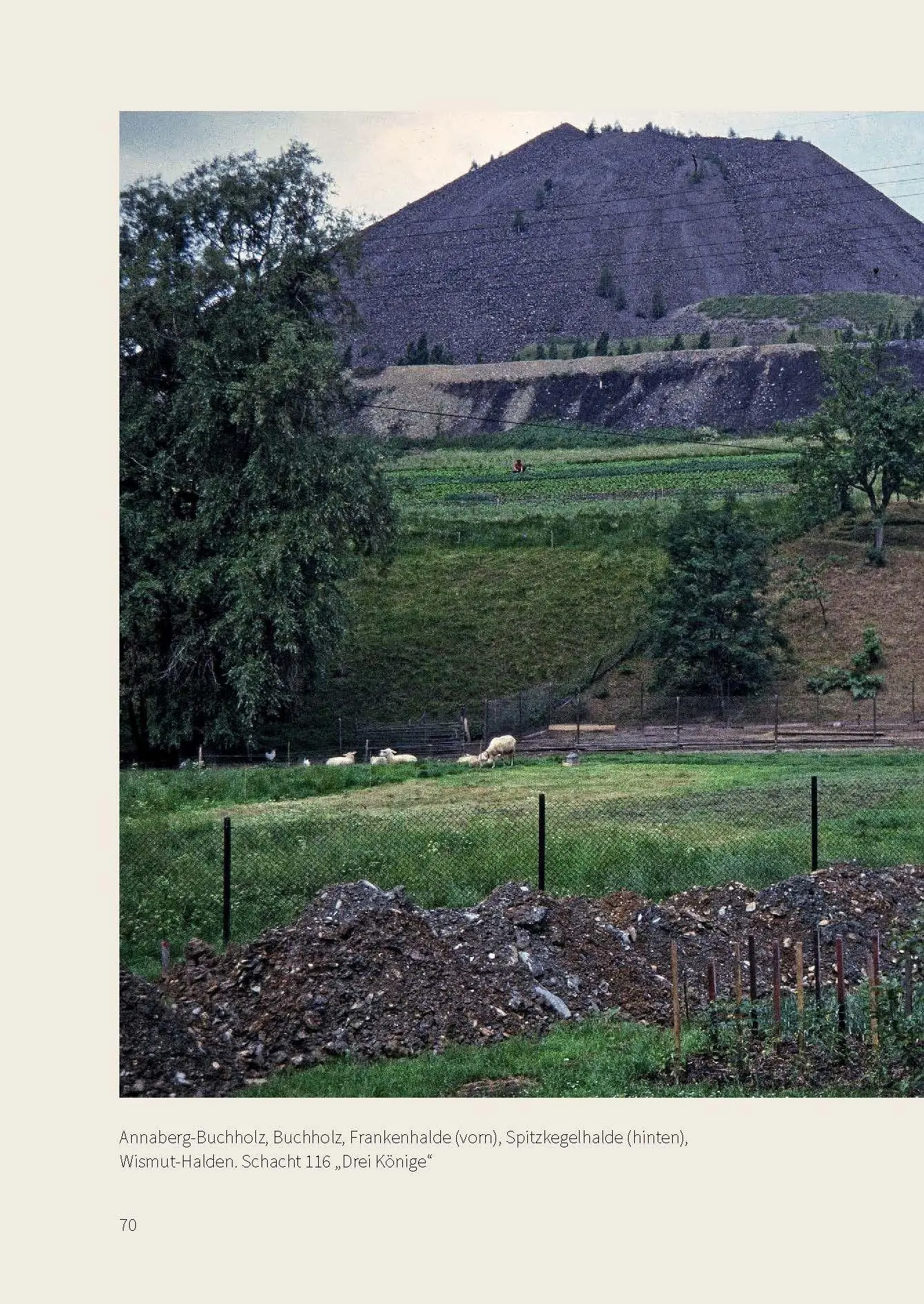 Bild: 9783422803640 | Umwelt &amp; Archiv | Oppositionelle Umgebungen in der DDR | Daniel Wolter