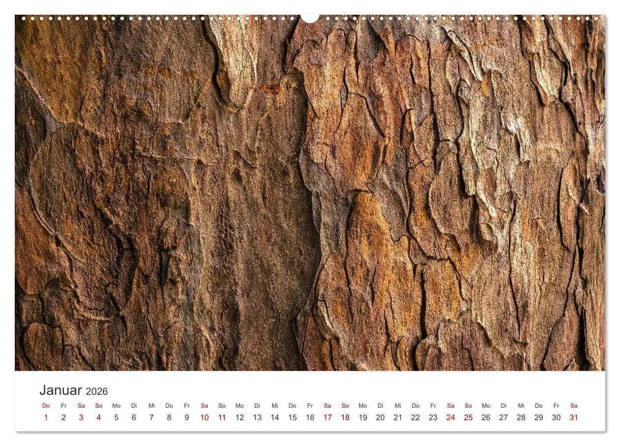 Bild: 9783457553640 | ZEN - Eine Reise zu sich selbst (hochwertiger Premium Wandkalender...