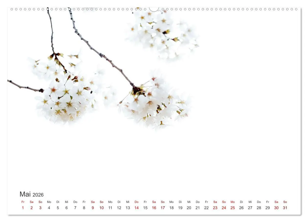 Bild: 9783457553640 | ZEN - Eine Reise zu sich selbst (hochwertiger Premium Wandkalender...