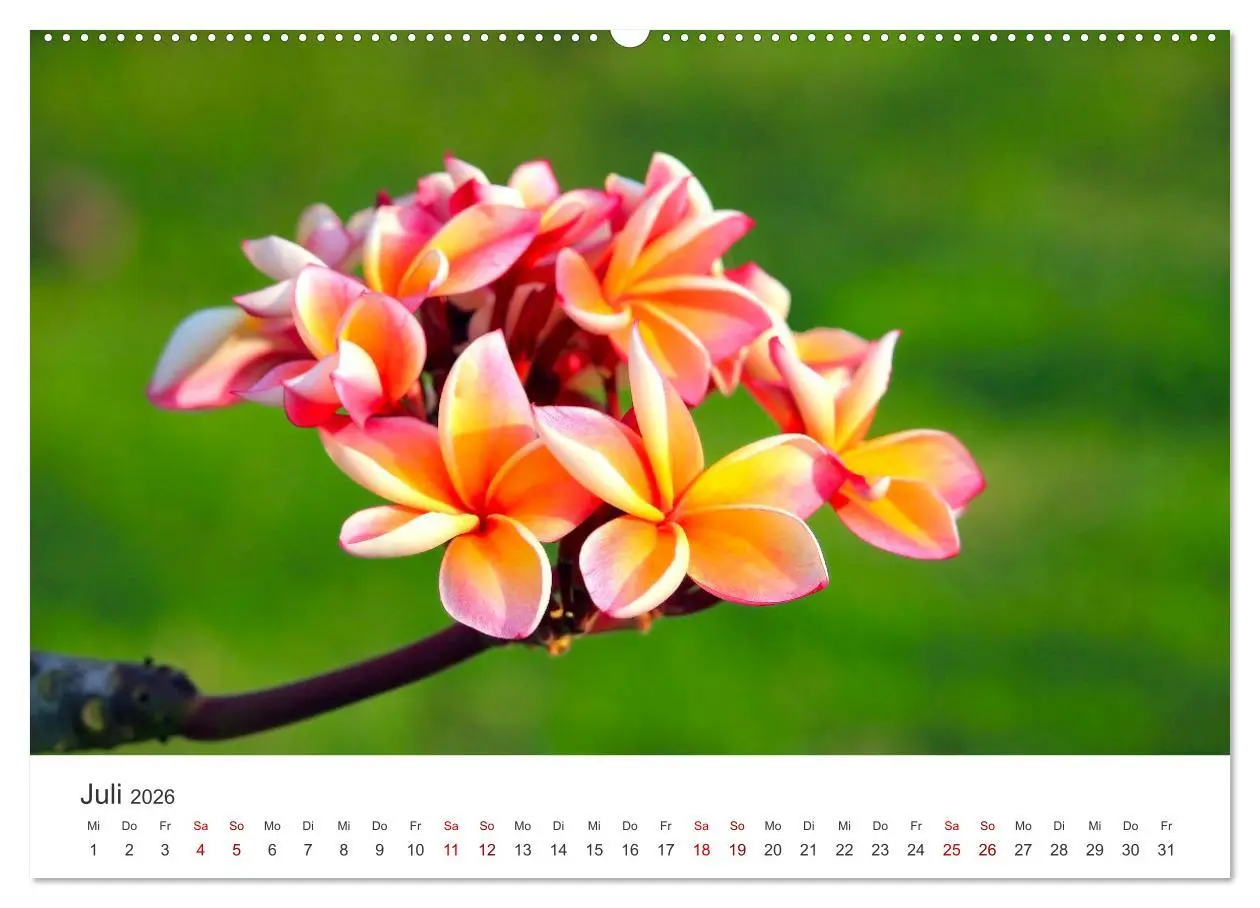 Bild: 9783457553640 | ZEN - Eine Reise zu sich selbst (hochwertiger Premium Wandkalender...