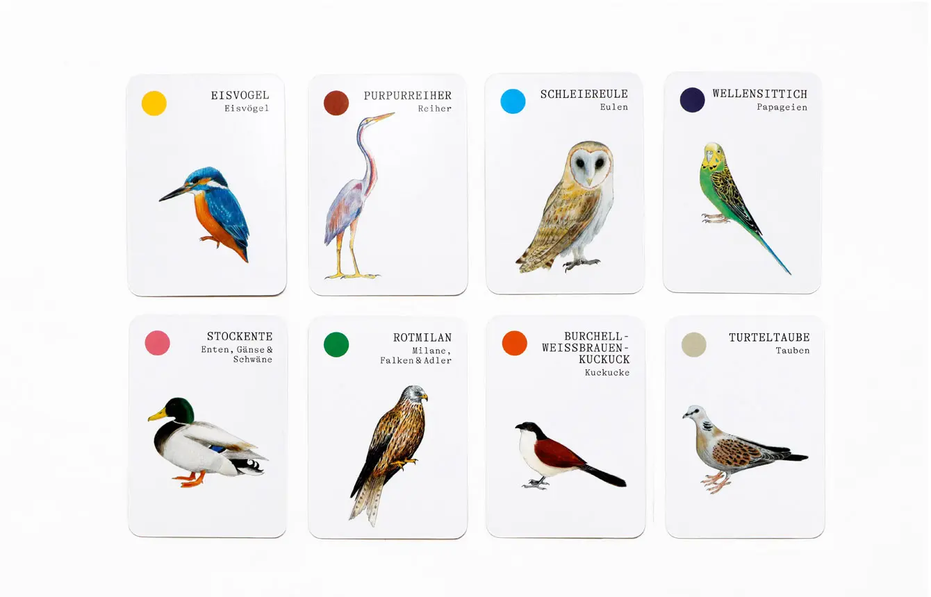 Bild: 9783962443740 | Vogel-Familien | Ein Quartett-Spiel | Mike Unwin | Spiel | 44 S.
