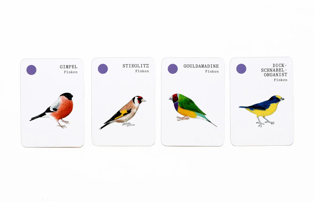Bild: 9783962443740 | Vogel-Familien | Ein Quartett-Spiel | Mike Unwin | Spiel | 44 S.