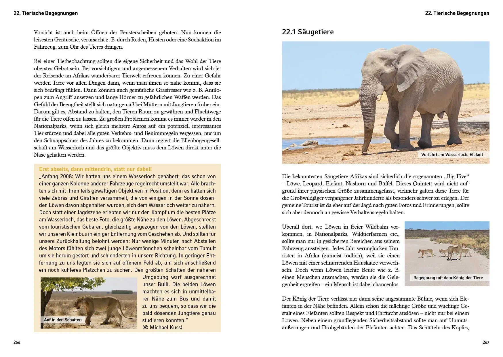 Bild: 9783968553740 | Camping in Namibia | Bernhard Vogt | Taschenbuch | Camping in | 372 S.