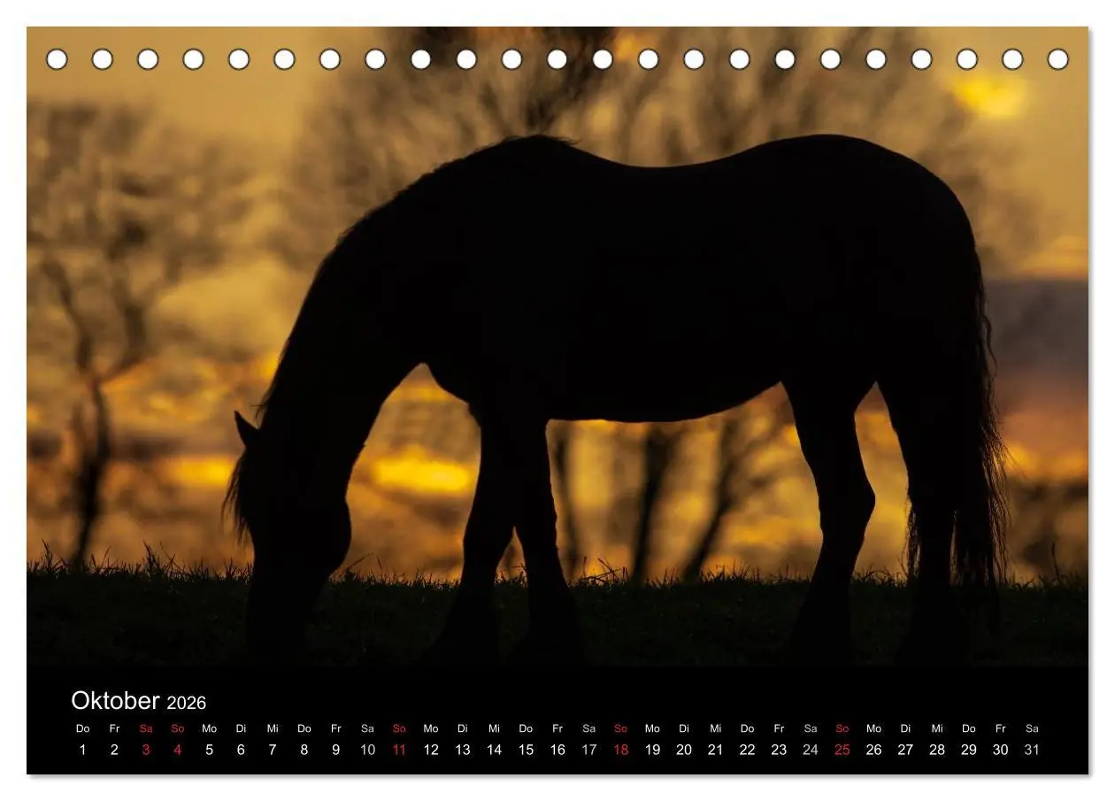 Bild: 9783516003840 | Friesen - Schönheit, Kraft und Eleganz (Tischkalender 2026 DIN A5...