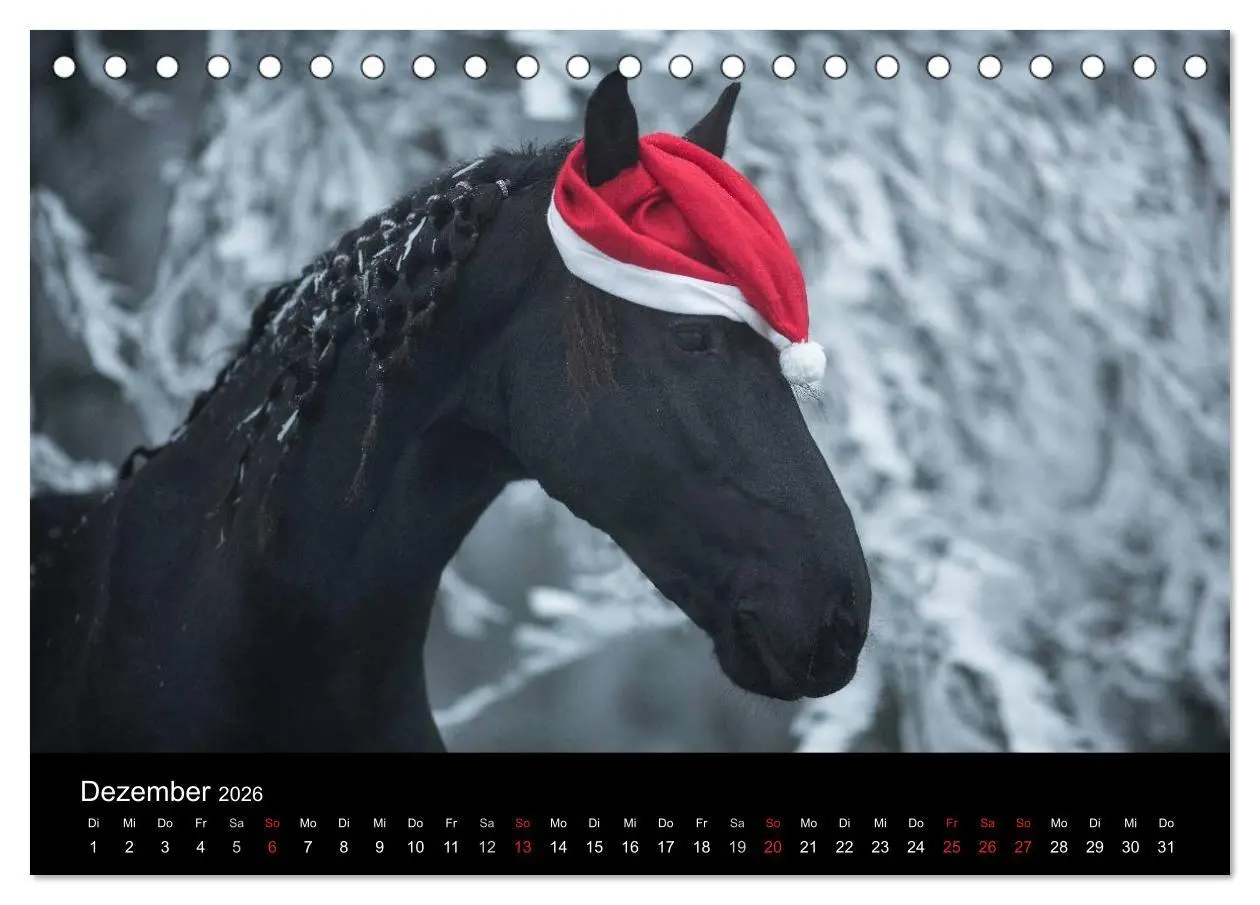 Bild: 9783516003840 | Friesen - Schönheit, Kraft und Eleganz (Tischkalender 2026 DIN A5...