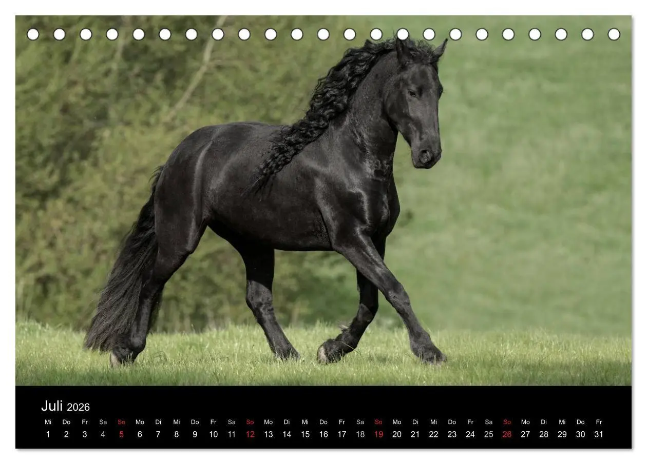 Bild: 9783516003840 | Friesen - Schönheit, Kraft und Eleganz (Tischkalender 2026 DIN A5...