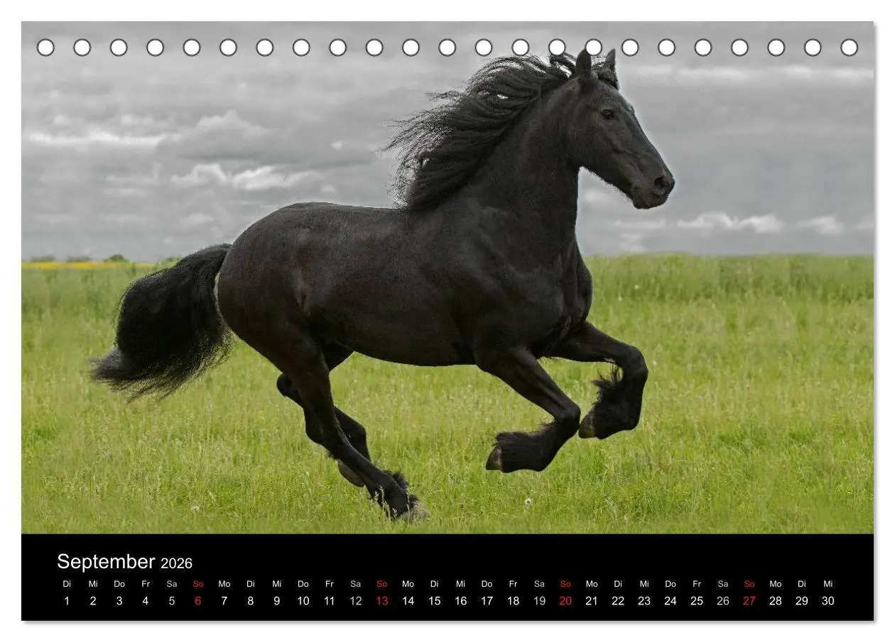 Bild: 9783516003840 | Friesen - Schönheit, Kraft und Eleganz (Tischkalender 2026 DIN A5...
