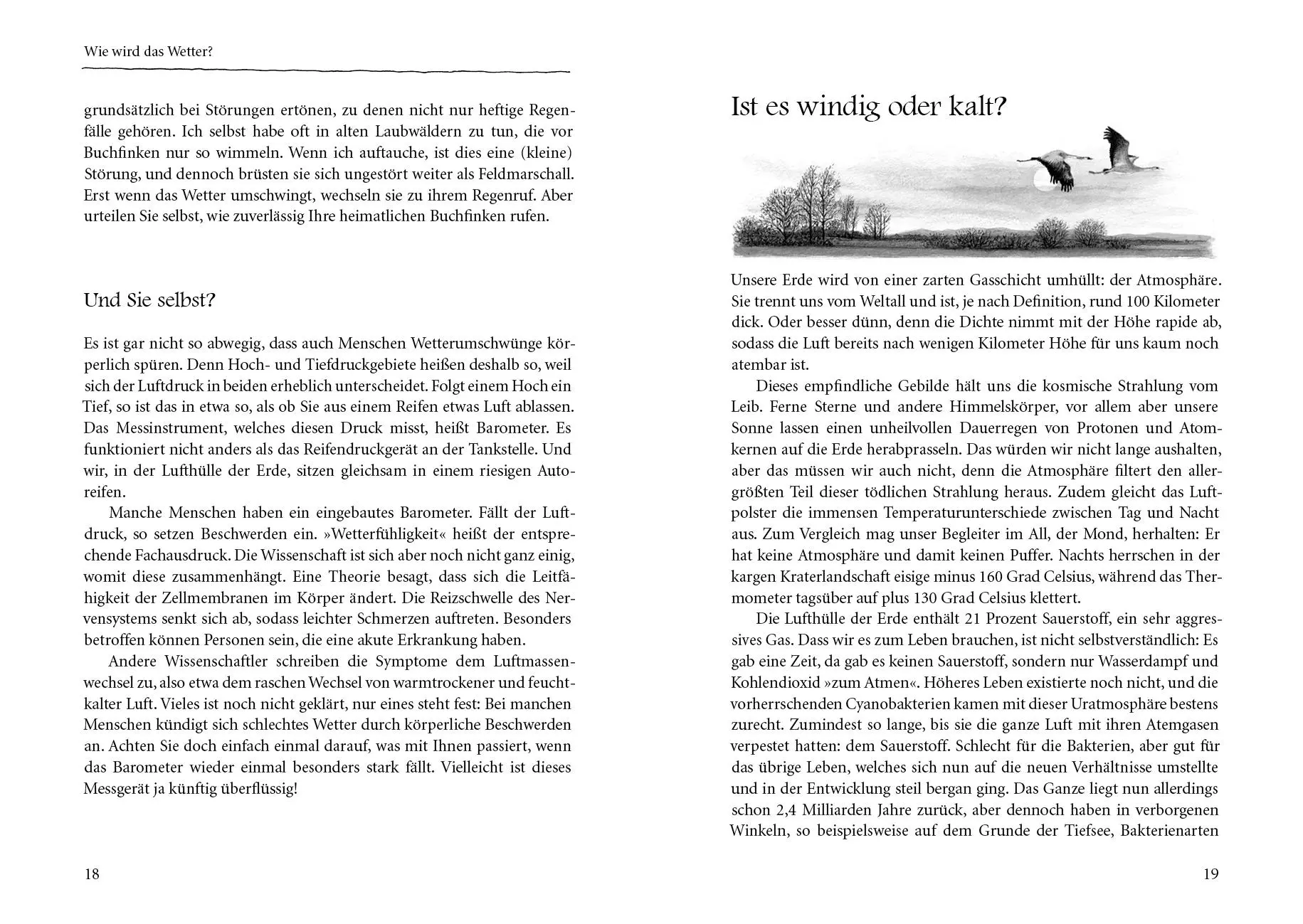 Bild: 9783895663840 | Kranichflug und Blumenuhr | Peter Wohlleben | Buch | 162 S. | Deutsch