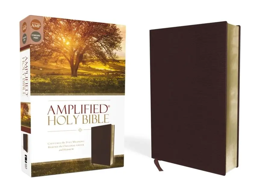 Cover: 9780310443940 | Amplified Bible-Am | Zondervan | Buch | Schachtel | Leder | Englisch