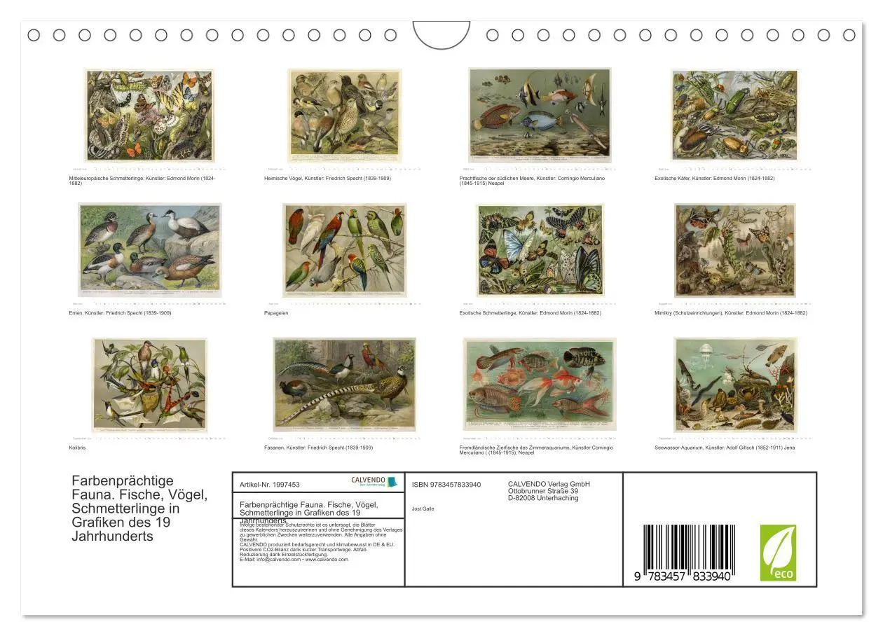 Bild: 9783457833940 | Farbenprächtige Fauna. Fische, Vögel, Schmetterlinge in Grafiken...