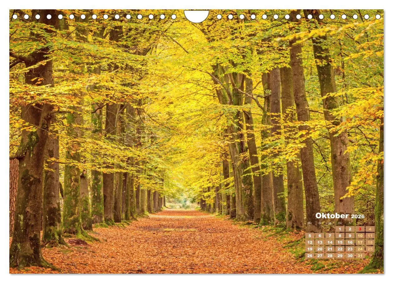 Bild: 9783457274040 | Alleen: Der Weg ist das Ziel (Wandkalender 2026 DIN A4 quer),...