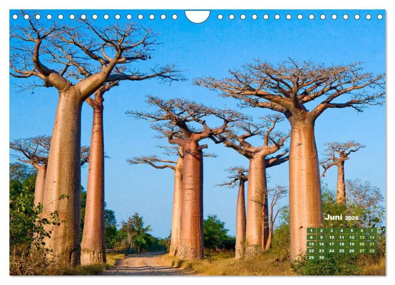 Bild: 9783457274040 | Alleen: Der Weg ist das Ziel (Wandkalender 2026 DIN A4 quer),...