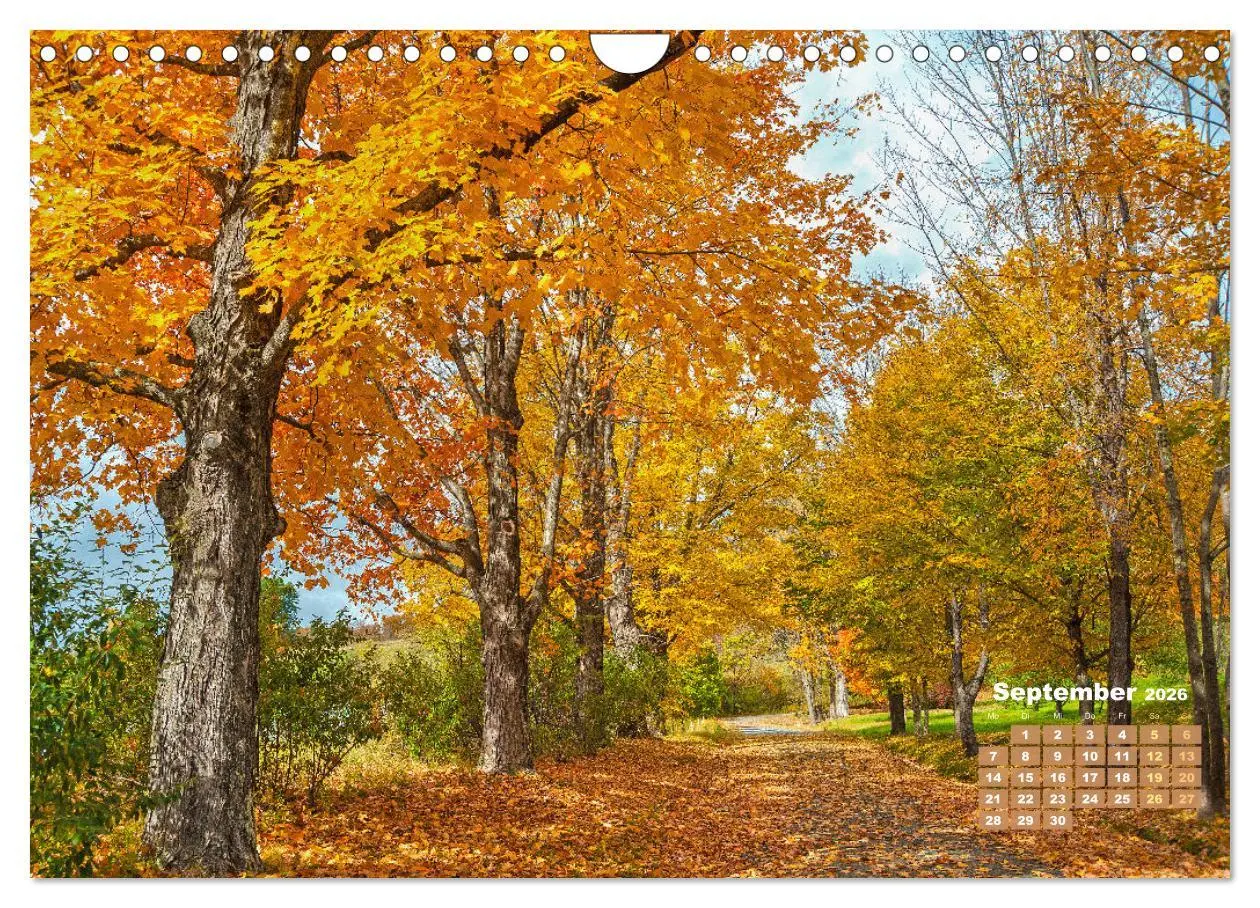 Bild: 9783457274040 | Alleen: Der Weg ist das Ziel (Wandkalender 2026 DIN A4 quer),...