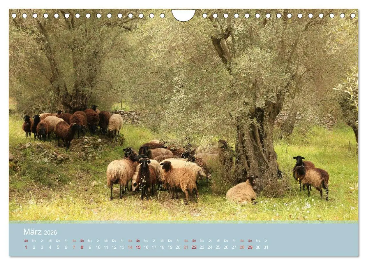 Bild: 9783516124040 | Lesbos - Inselimpressionen (Wandkalender 2026 DIN A4 quer),...