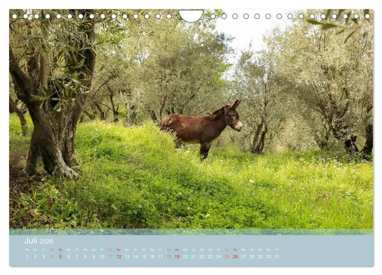 Bild: 9783516124040 | Lesbos - Inselimpressionen (Wandkalender 2026 DIN A4 quer),...