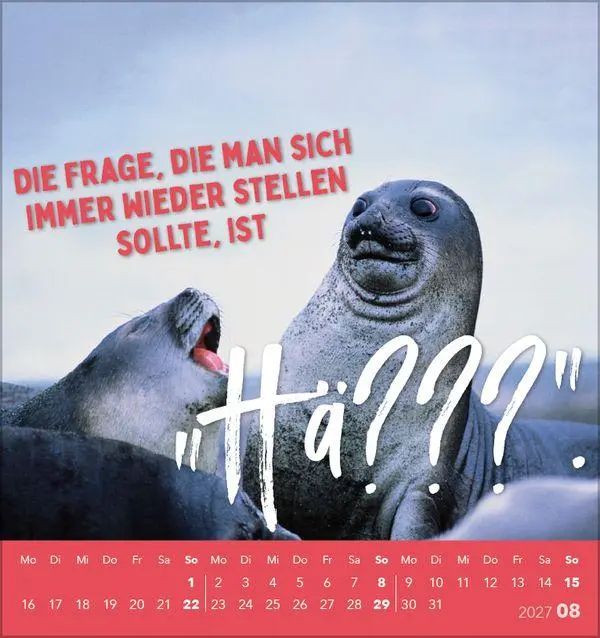 Bild: 9783819304040 | Lieber verrückt das Leben genießen 2027 | Verlag Korsch | Kalender
