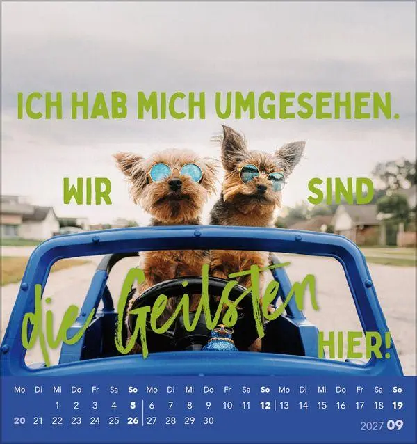 Bild: 9783819304040 | Lieber verrückt das Leben genießen 2027 | Verlag Korsch | Kalender