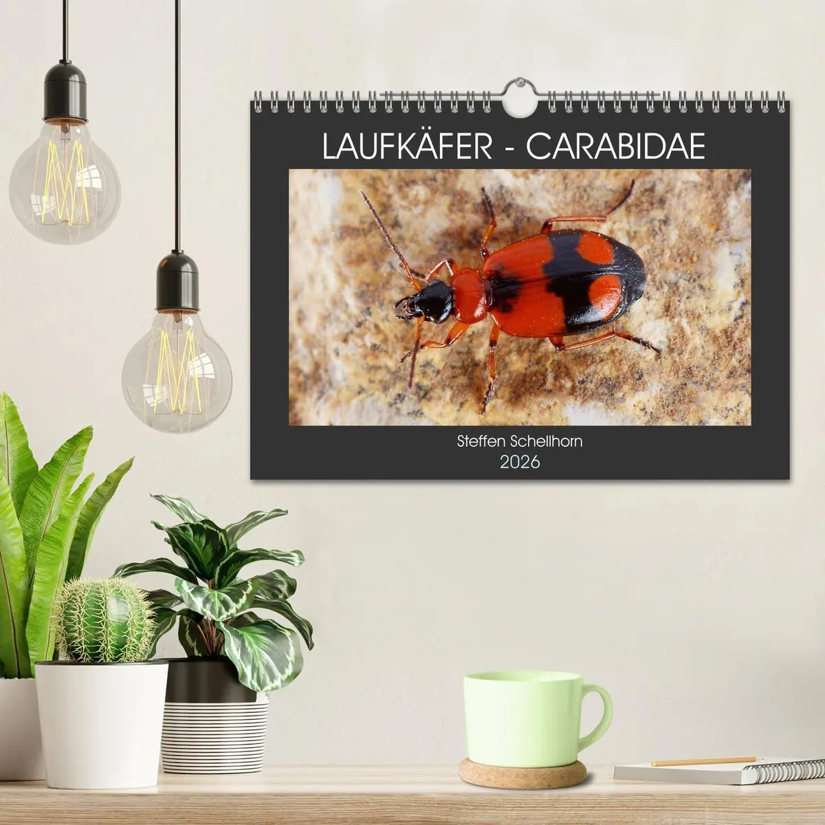 Bild: 9783457644140 | LAUFKÄFER - CARABIDAE (Wandkalender 2026 DIN A4 quer), CALVENDO...