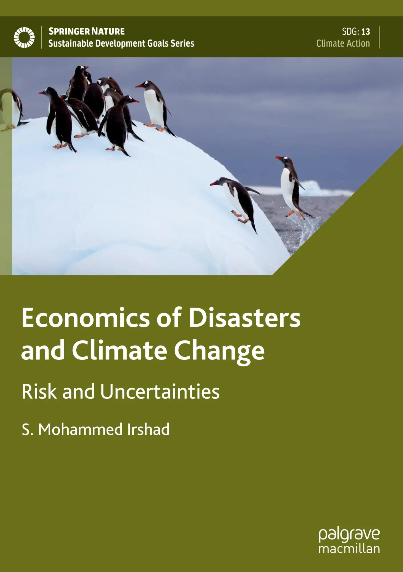 Cover: 9789819794140 | Economics of Disasters and Climate Change | Risk and Uncertainties