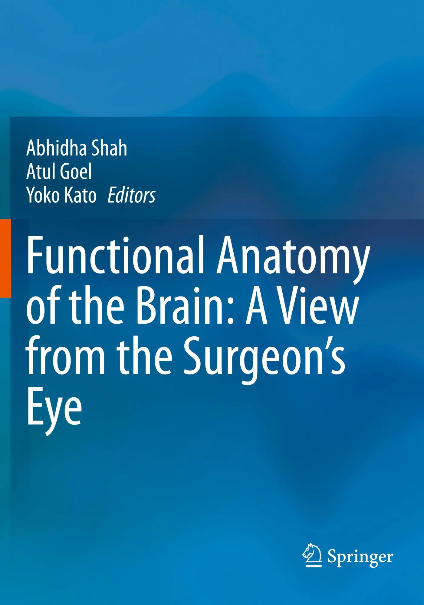 Cover: 9789819934140 | Functional Anatomy of the Brain: A View from the Surgeon's Eye | Buch