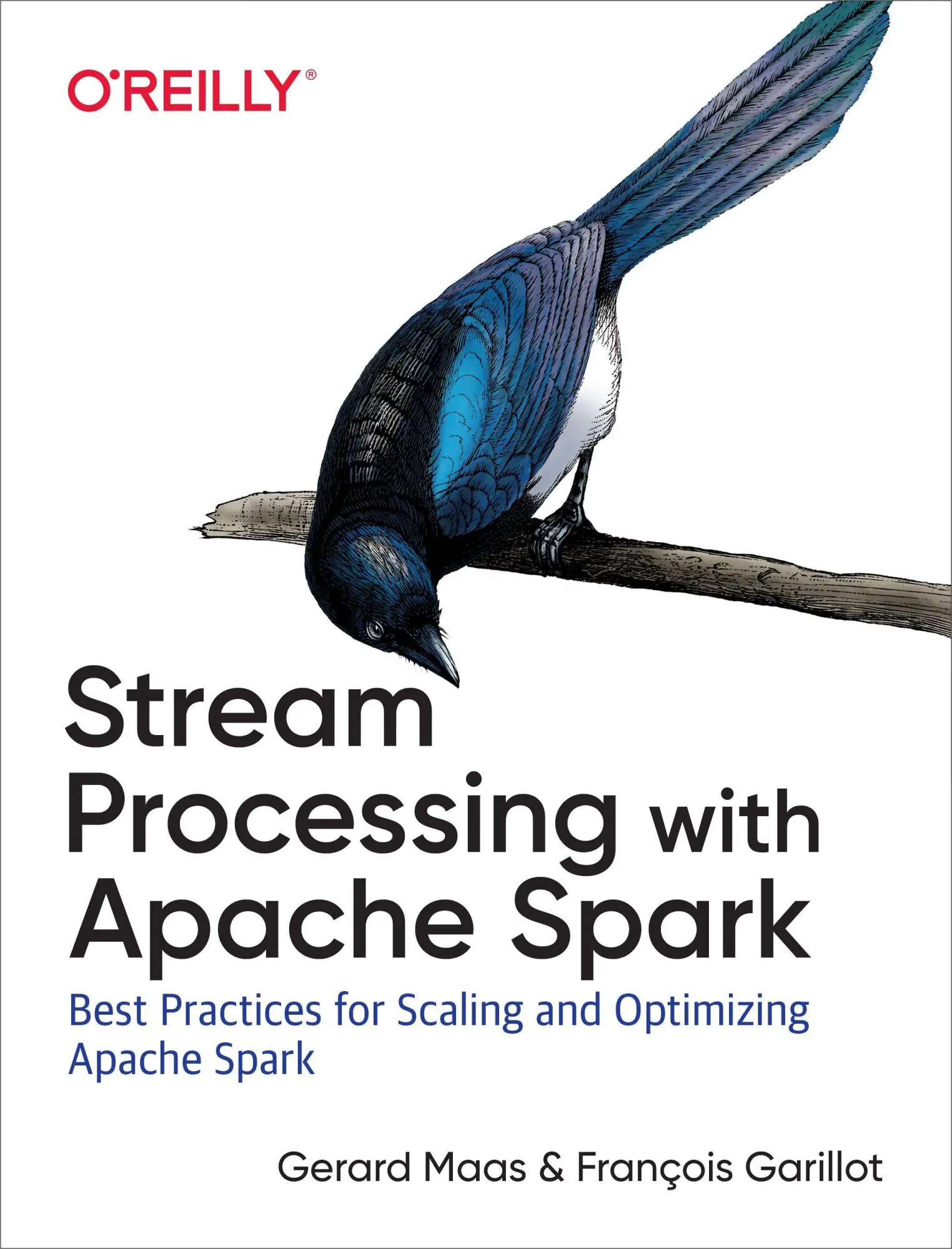 Cover: 9781491944240 | Stream Processing with Apache Spark | Gerard Maas (u. a.) | Buch Cover: 9781491944240 | Stream Processing with Apache Spark | Gerard Maas (u. a.) | Buch