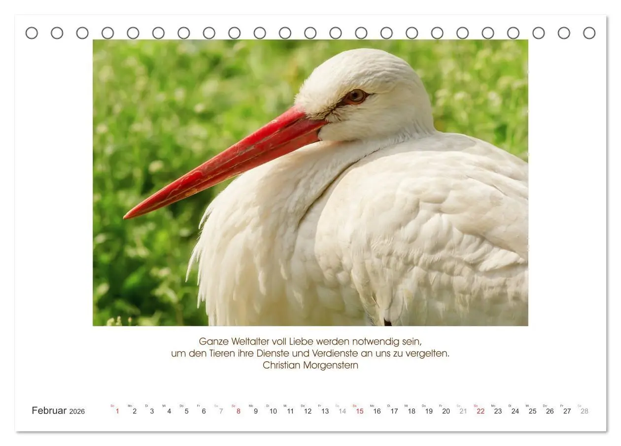 Bild: 9783516104240 | Der Tierkalender mit Zitaten, Weisheiten und Sprüchen...