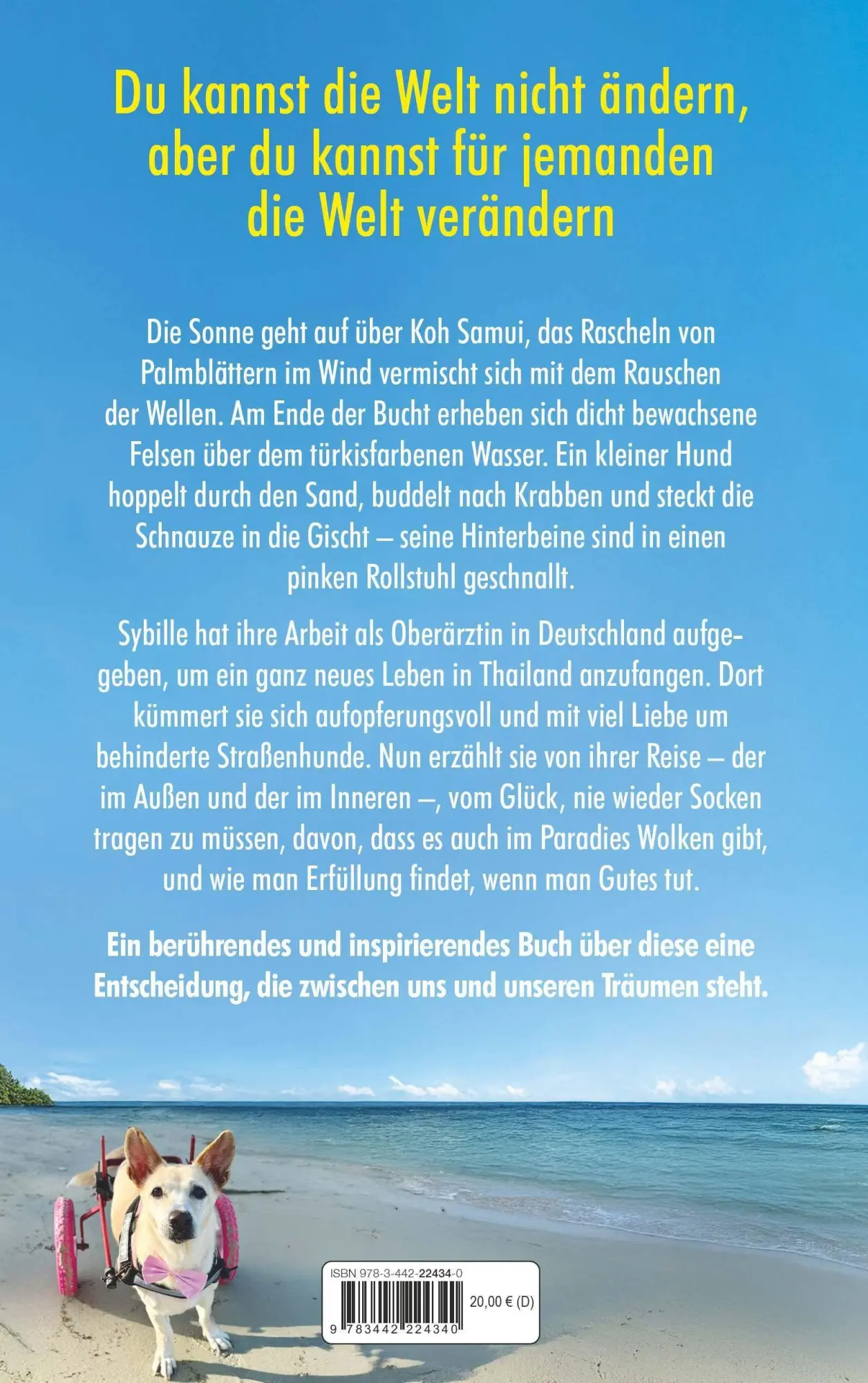 Bild: 9783442224340 | Pfoten im Sand | Sybille Morch | Taschenbuch | 256 S. | Deutsch | 2026