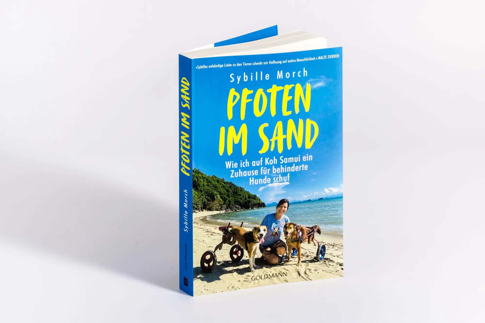 Bild: 9783442224340 | Pfoten im Sand | Sybille Morch | Taschenbuch | 256 S. | Deutsch | 2026