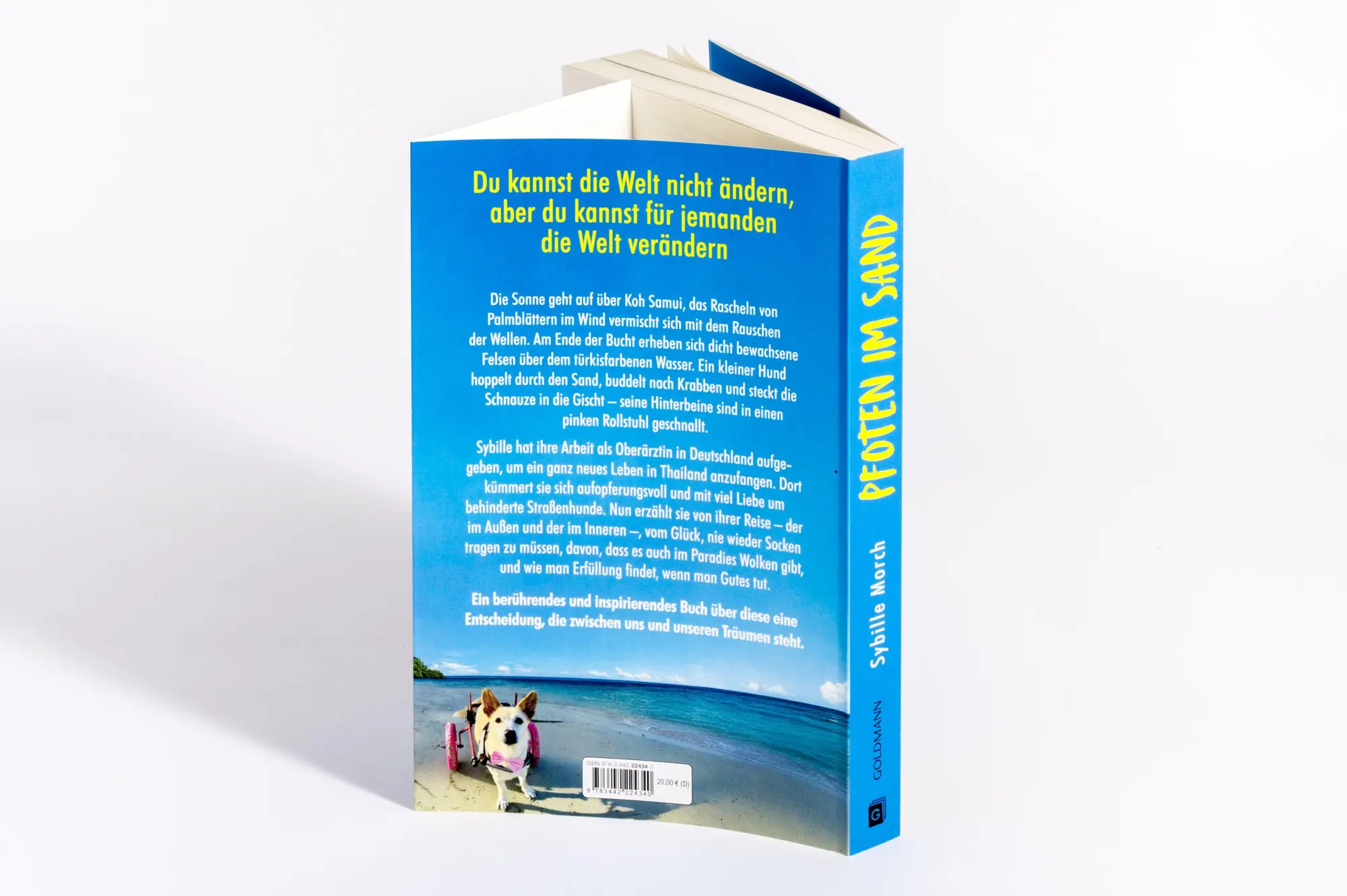 Bild: 9783442224340 | Pfoten im Sand | Sybille Morch | Taschenbuch | 256 S. | Deutsch | 2026