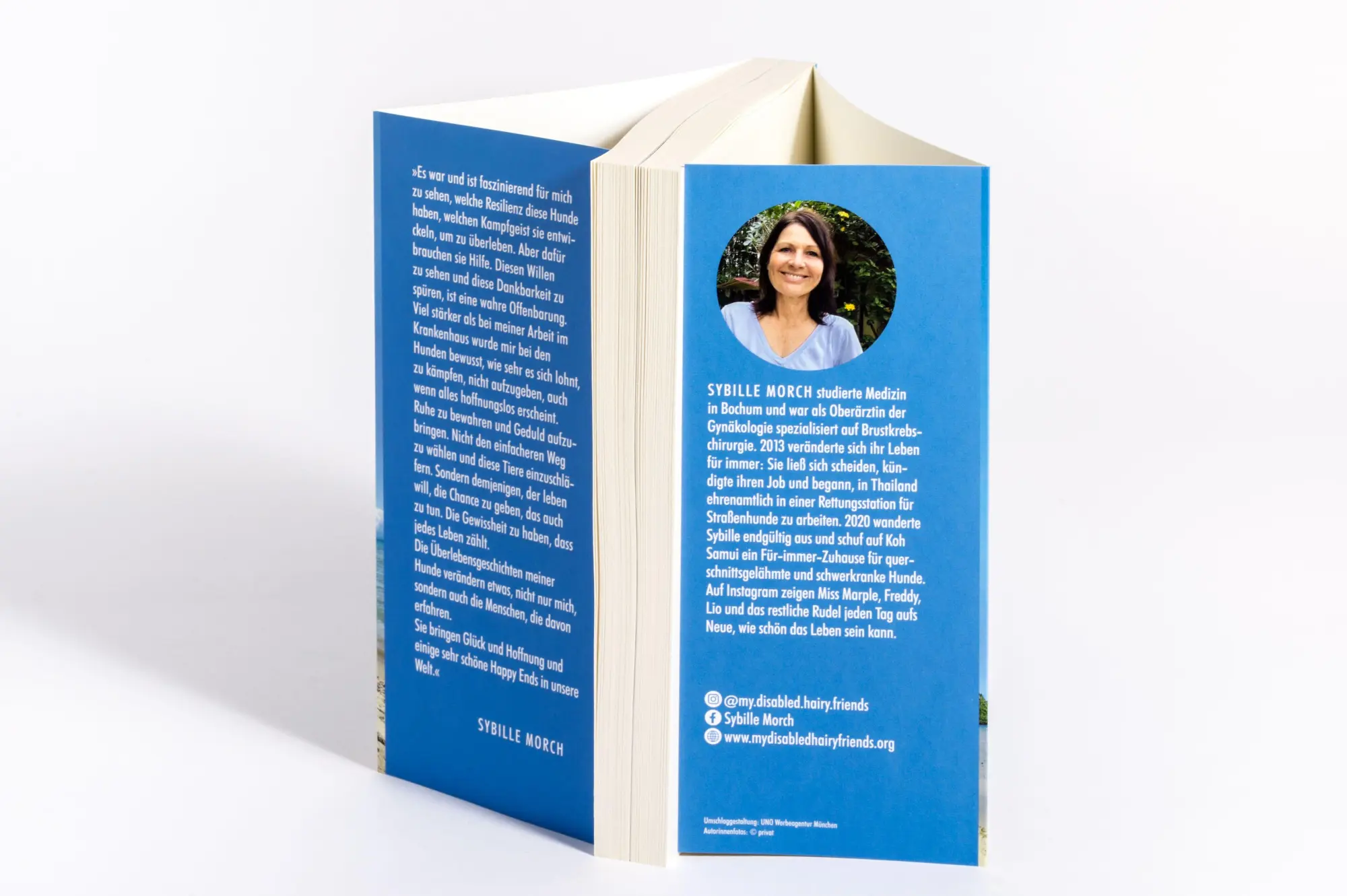 Bild: 9783442224340 | Pfoten im Sand | Sybille Morch | Taschenbuch | 256 S. | Deutsch | 2026