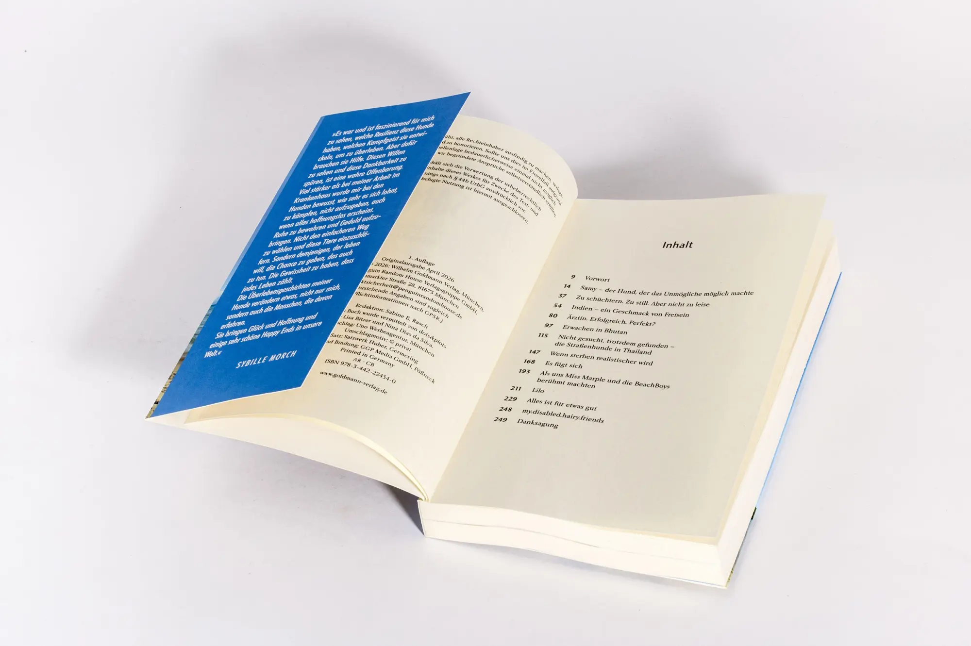 Bild: 9783442224340 | Pfoten im Sand | Sybille Morch | Taschenbuch | 256 S. | Deutsch | 2026