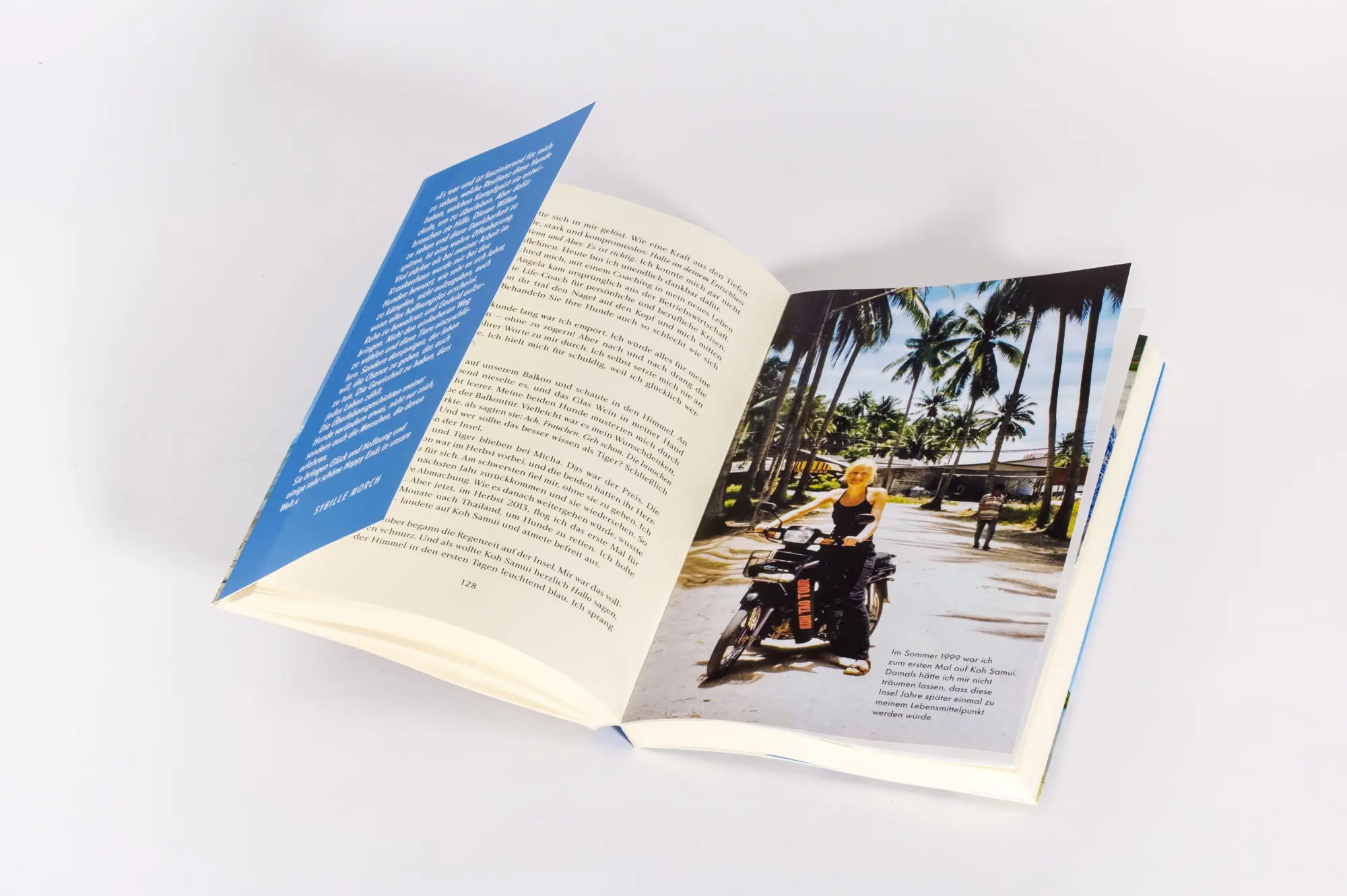 Bild: 9783442224340 | Pfoten im Sand | Sybille Morch | Taschenbuch | 256 S. | Deutsch | 2026