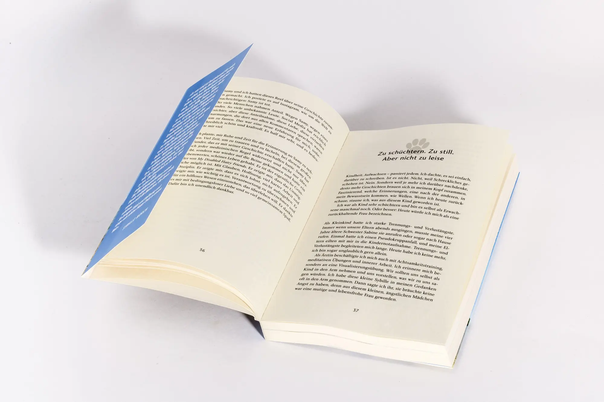 Bild: 9783442224340 | Pfoten im Sand | Sybille Morch | Taschenbuch | 256 S. | Deutsch | 2026