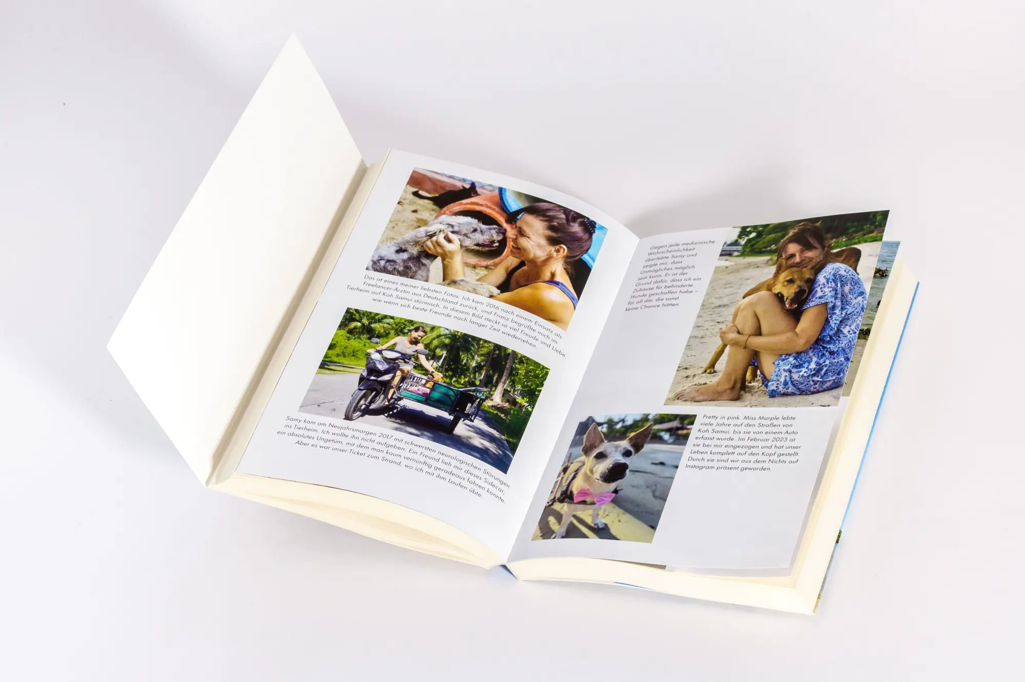 Bild: 9783442224340 | Pfoten im Sand | Sybille Morch | Taschenbuch | 256 S. | Deutsch | 2026