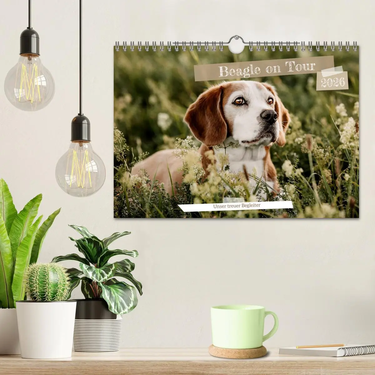 Bild: 9783457554340 | Beagle - Unser treuer Begleiter (Wandkalender 2026 DIN A4 quer),...