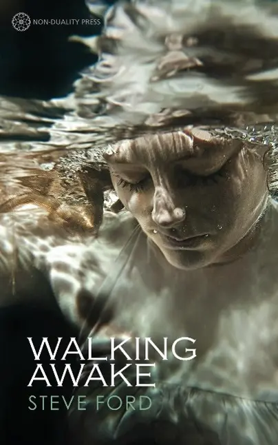 Cover: 9781908664440 | Walking Awake | Steve Ford | Taschenbuch | Kartoniert / Broschiert