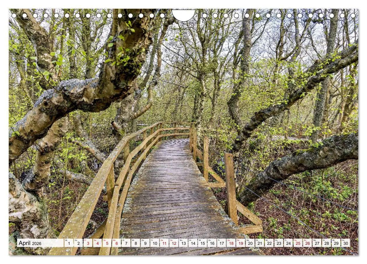 Bild: 9783457304440 | Inselbilder Amrum (Wandkalender 2026 DIN A4 quer), CALVENDO...