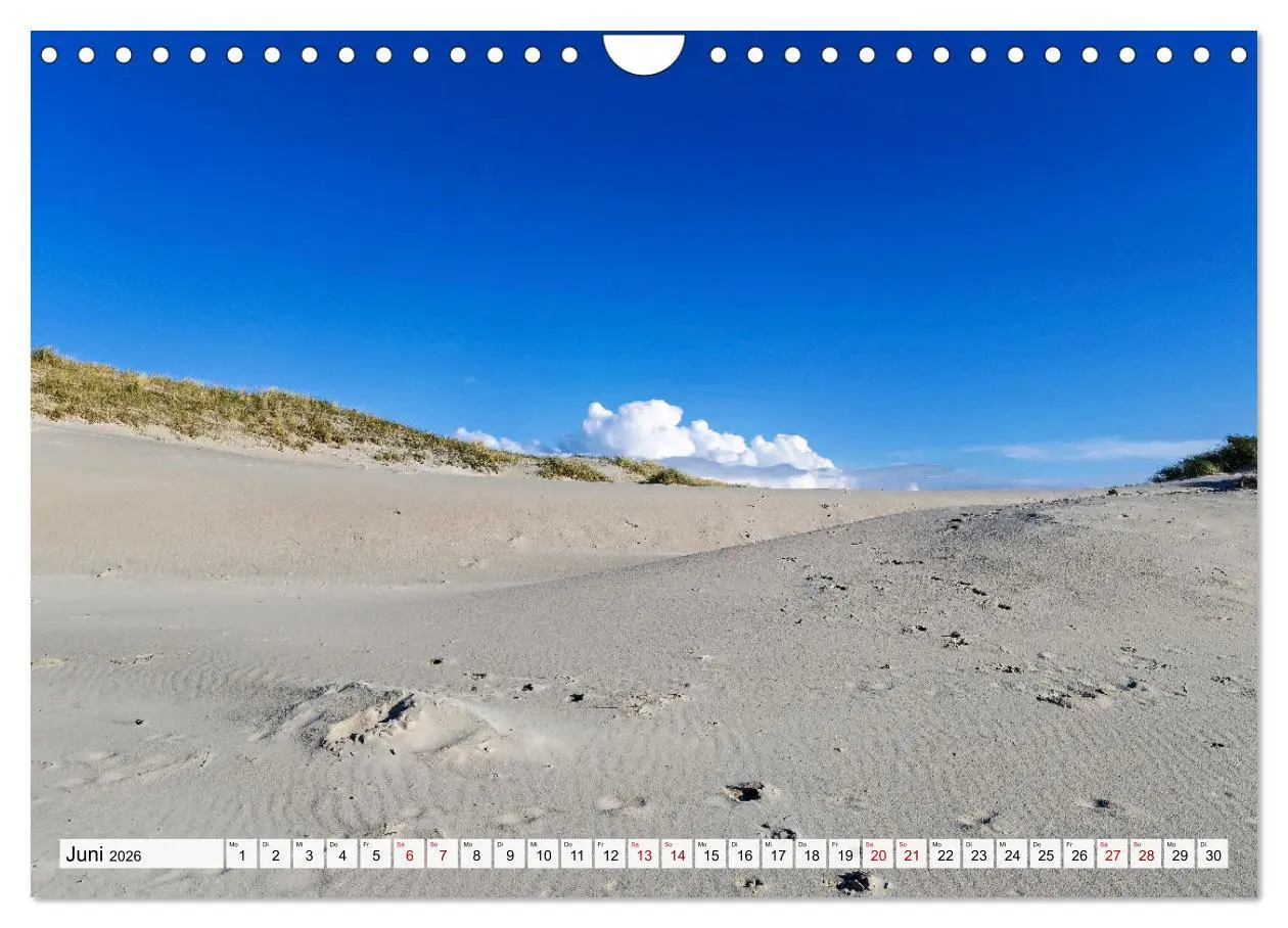 Bild: 9783457304440 | Inselbilder Amrum (Wandkalender 2026 DIN A4 quer), CALVENDO...