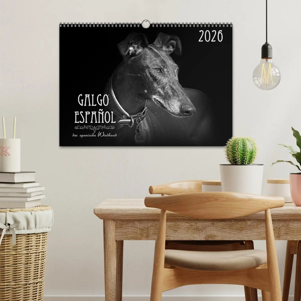 Bild: 9783457544440 | Galgo Español - der spanische Windhund 2026 (Wandkalender 2026 DIN...