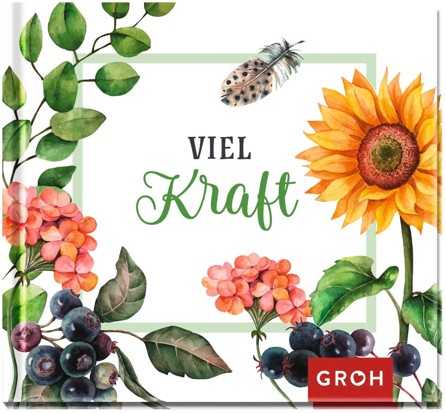 Cover: 9783848524440 | Viel Kraft | Groh Verlag | Buch | Hardcover | 48 S. | Deutsch | 2020