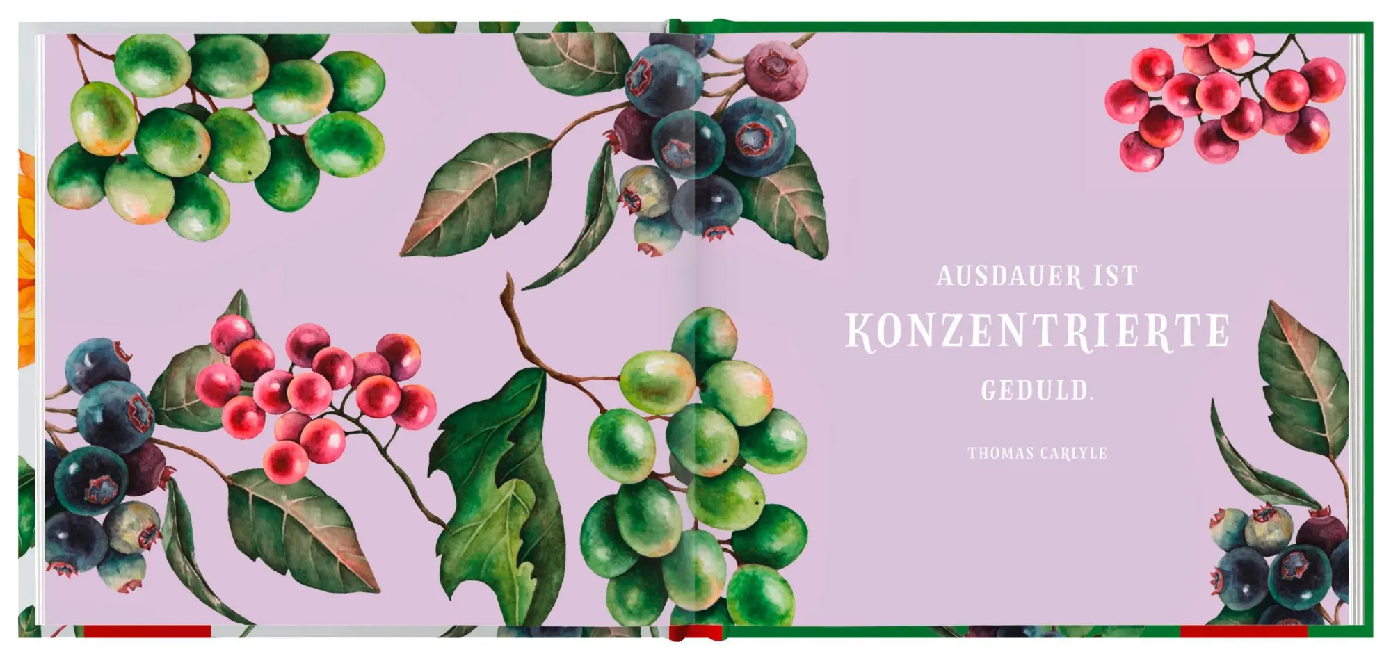 Bild: 9783848524440 | Viel Kraft | Groh Verlag | Buch | Hardcover | 48 S. | Deutsch | 2020
