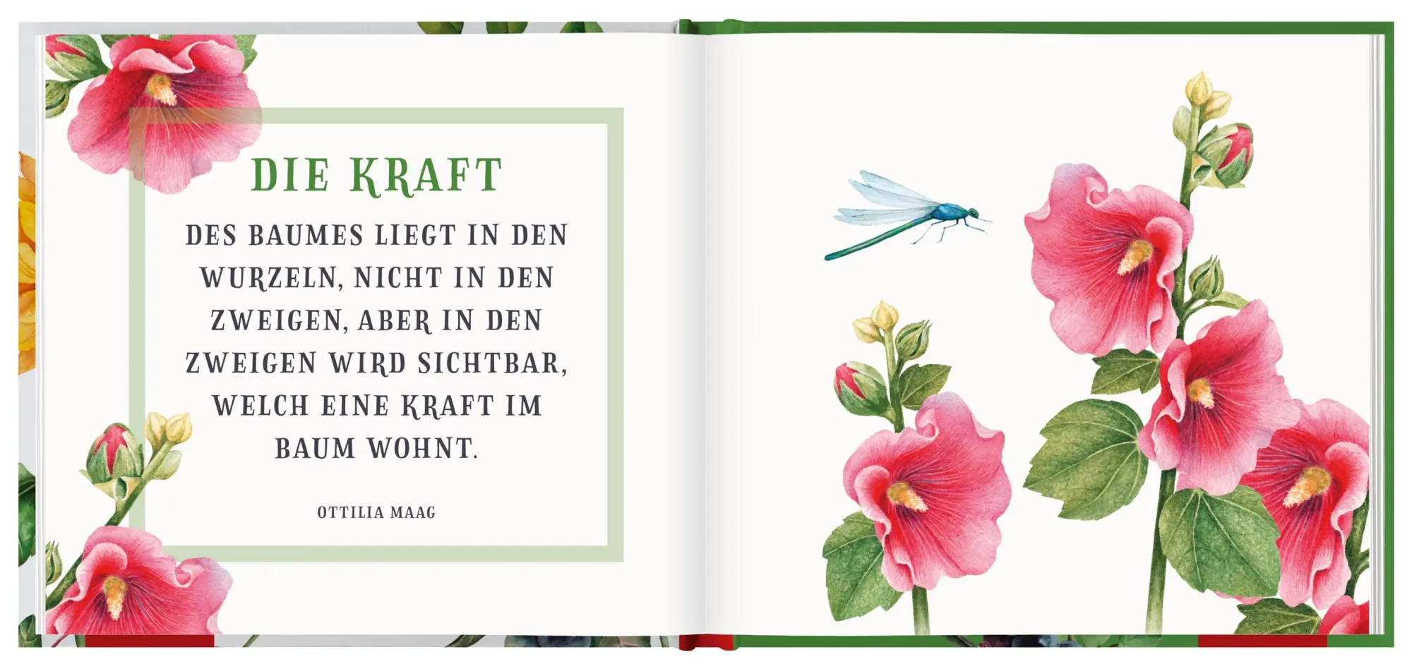 Bild: 9783848524440 | Viel Kraft | Groh Verlag | Buch | Hardcover | 48 S. | Deutsch | 2020