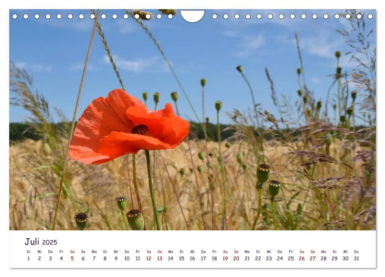 Bild: 9783435134540 | Natur und Landschaft Mecklenburg - Vorpommern 2025 (Wandkalender...