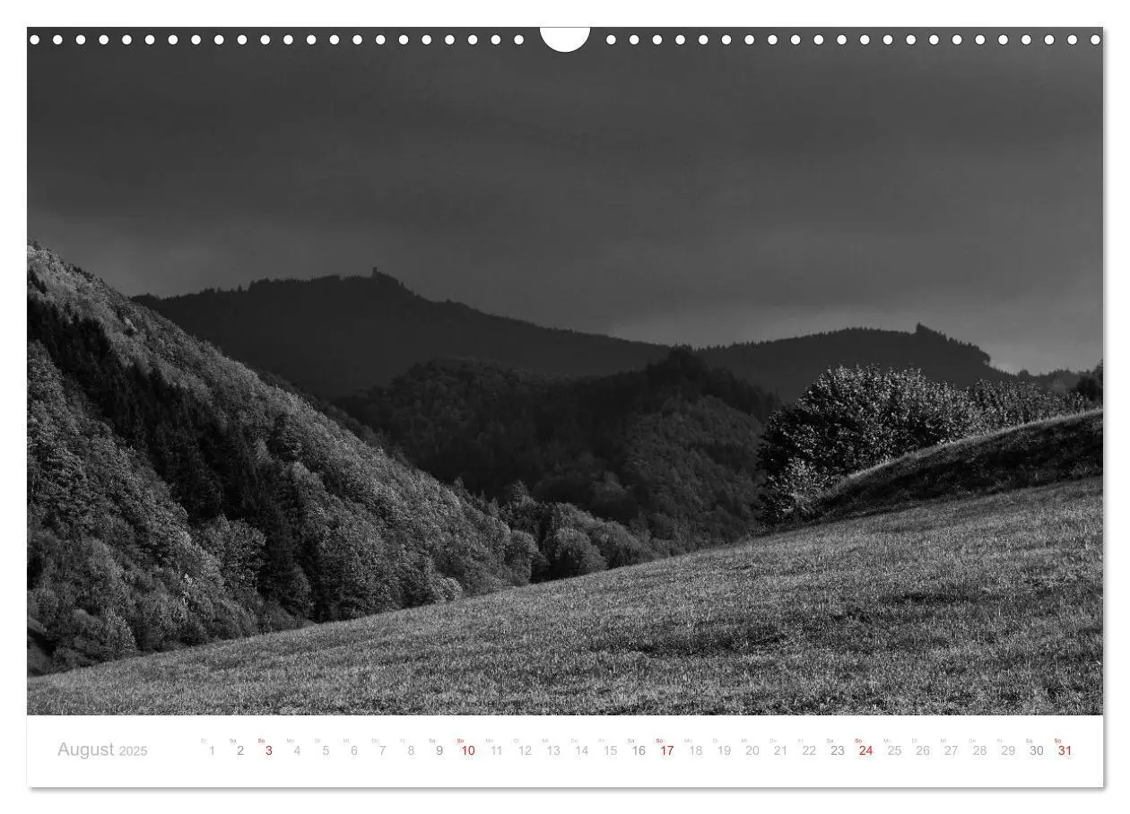 Bild: 9783435514540 | Mystischer Schwarzwald (Wandkalender 2025 DIN A3 quer), CALVENDO...