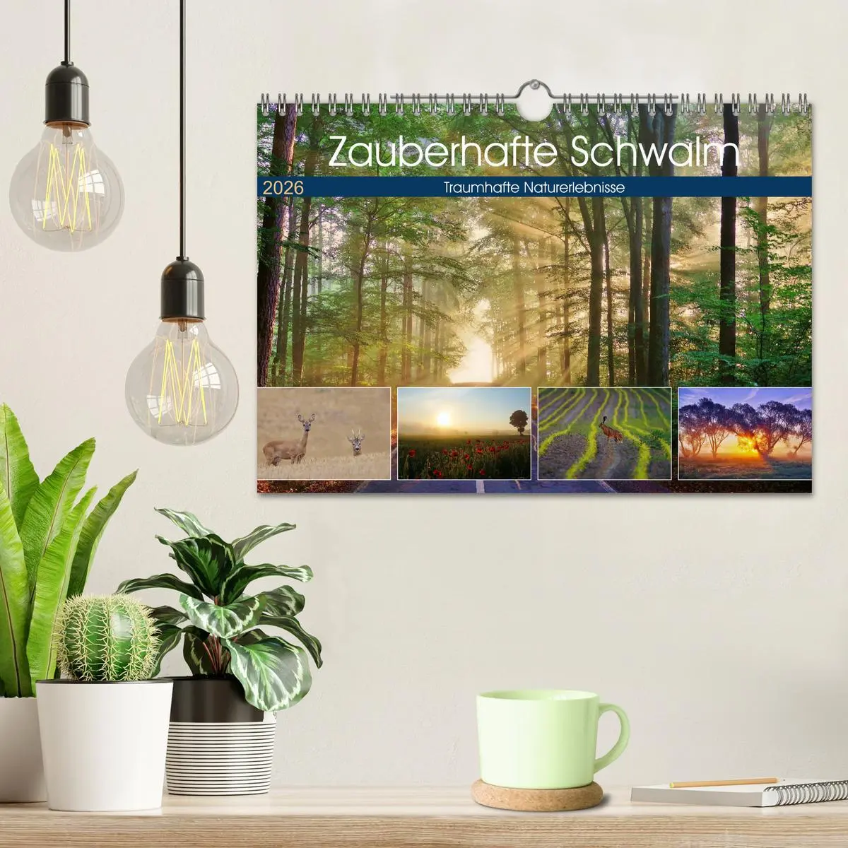 Bild: 9783457774540 | Zauberhafte Schwalm (Wandkalender 2026 DIN A4 quer), CALVENDO...