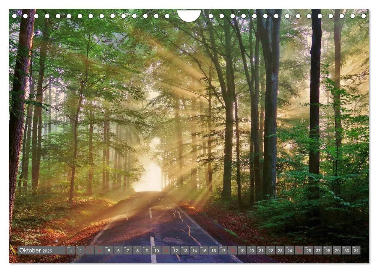 Bild: 9783457774540 | Zauberhafte Schwalm (Wandkalender 2026 DIN A4 quer), CALVENDO...